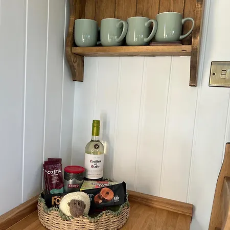 Fernlea Luxury Shepherds Hut - Sleeps 2 & Hot Tub Holiday home *