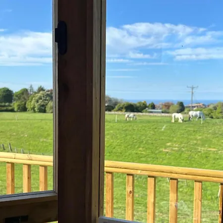 Fernlea Luxury Shepherds Hut - Sleeps 2 & Hot Tub Holiday home Saltburn-by-the-Sea