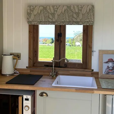 Fernlea Luxury Shepherds Hut - Sleeps 2 & Hot Tub Holiday home Saltburn-by-the-Sea